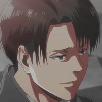Levi