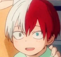 Shoto Todoroki 