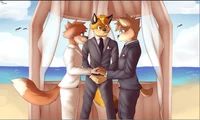 Gay furry wedding