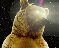 Ferdinan Von Bernard