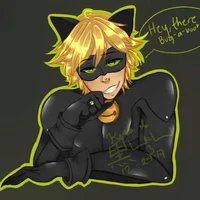 Chat noir