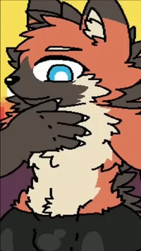 Orange Wolf kolin