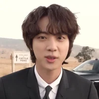 seokjin 