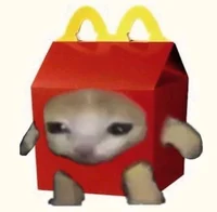 Happymeal cat