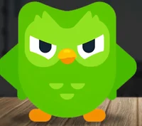 Angry duolingo