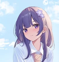 School Raiden Shogun