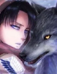 Levi Ackerman 