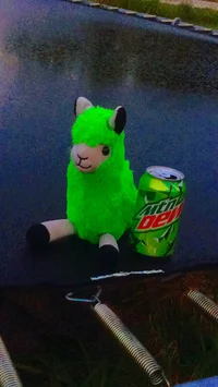 Mtn Dew Llama