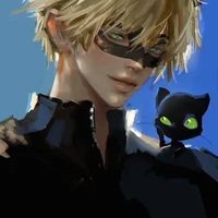 Chat Noir Cat Noir