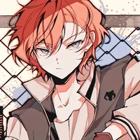 Chuuya top