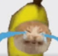 Banana cat