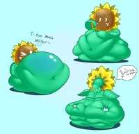 the Great sunflower