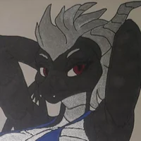 Shadow dragoness