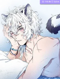 Andri el chico gato