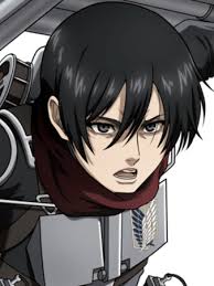 Sargeant Mikasa