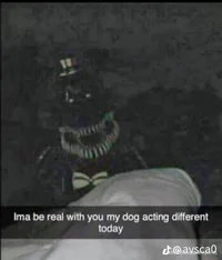 The mafaka whit no e