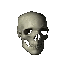 Spinnin skull