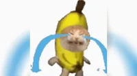 Banana Cat