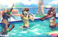 Furry pool