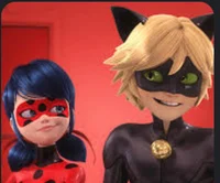 ladybug and cat noir