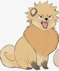 Dog Bakugou