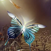 Bonnie the butterfly