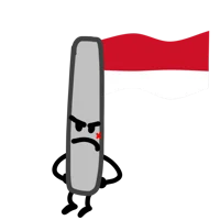 Indonesian Flag