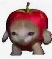 Apple cat