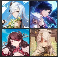 ShenheYelanNinBaidou