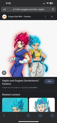 Fem gogeta-Vegito 