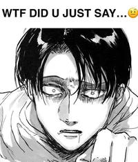 Levi Ackerman