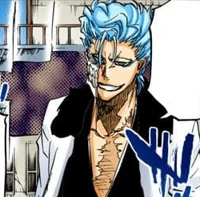 Grimmjow Jaegerjaqez
