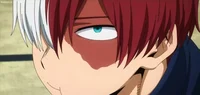 Shoto Todoroki 