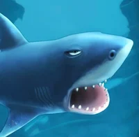 The Hungry Shark