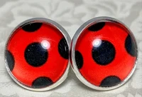 Your ladybug story