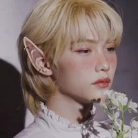 Felix Fairy