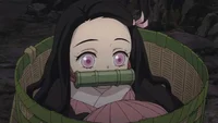 McDonald Nezuko 