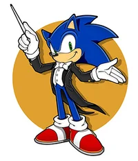 Sonic the hedgehog 