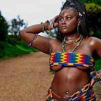 The leader of the vi