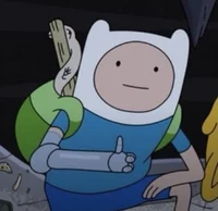 Finn the Human