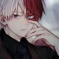 Shoto Todoroki