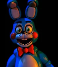 Toy bonnie
