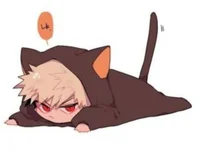 Cat bakugo