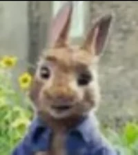 Peter Rabbit