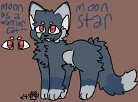 WarriorCats-AU Moon