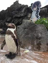 Grape-kun