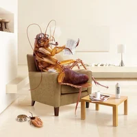 Cockroach