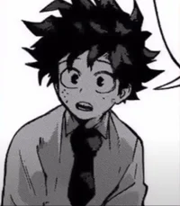 Izuku Midoriya 