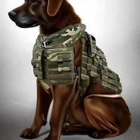 Your army dog 