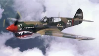 P40 Warhawk